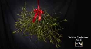 Mistletoe, Still Life  Photography 